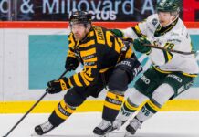 Skellefteå för tuffa för Björklöven – förlust med 3-5