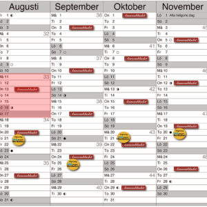 Vecka 33, 2025 (11-17/8)